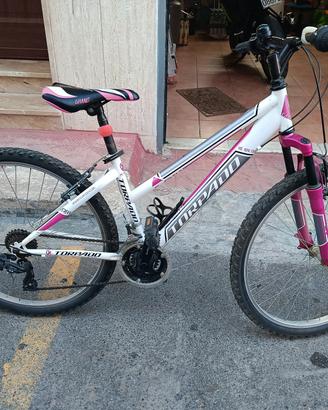 Mtb torpado 26" 596