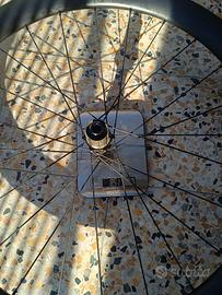 Ruota posteriore in carbonio