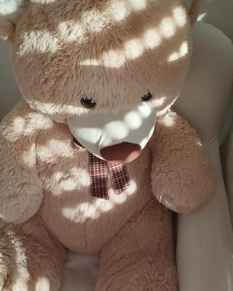 orsacchiotto di peluche 