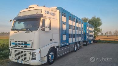 Trasporto animali vivi