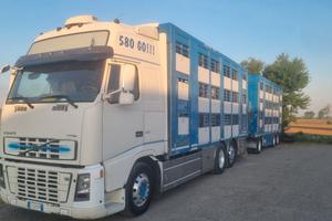 Trasporto animali vivi