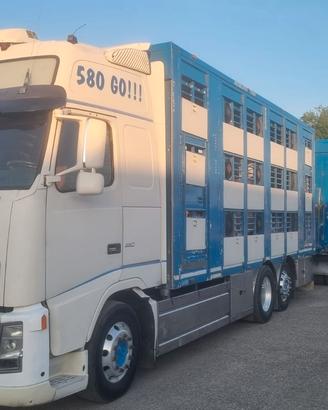 Trasporto animali vivi