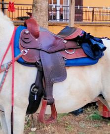 Sella americana Denver da renning