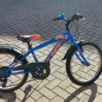 Bici 20'