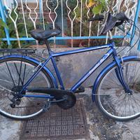bicicletta da passeggio 28