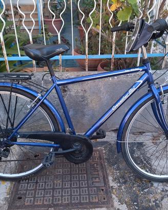 bicicletta da passeggio 28