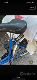 bici/sedia da mare Milano Marittima
