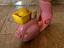 Immagine 2