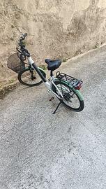 Bicicletta elettrica Lombardo