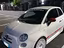 Immagine 3
