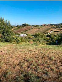 Terreno agricolo