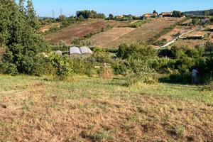 Terreno agricolo