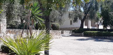 Vieste bilo disponibile 8/15 agosto