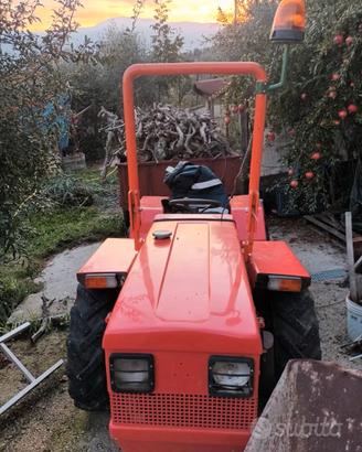 Trattore agricolo usato con accessori