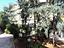 Immagine 27