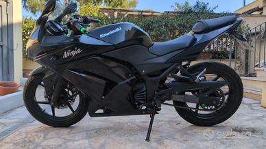 Ninja 250r
