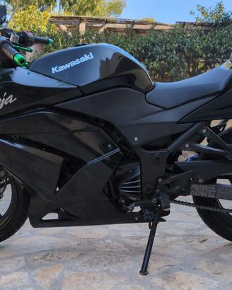 Ninja 250r