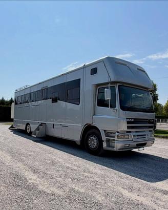 Daf trasporto cavalli