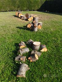 Legna a poco prezzo per chi se la viene a prendere