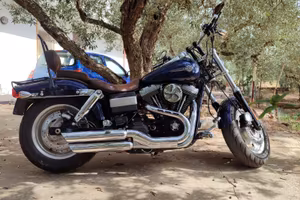 Harley Davidson