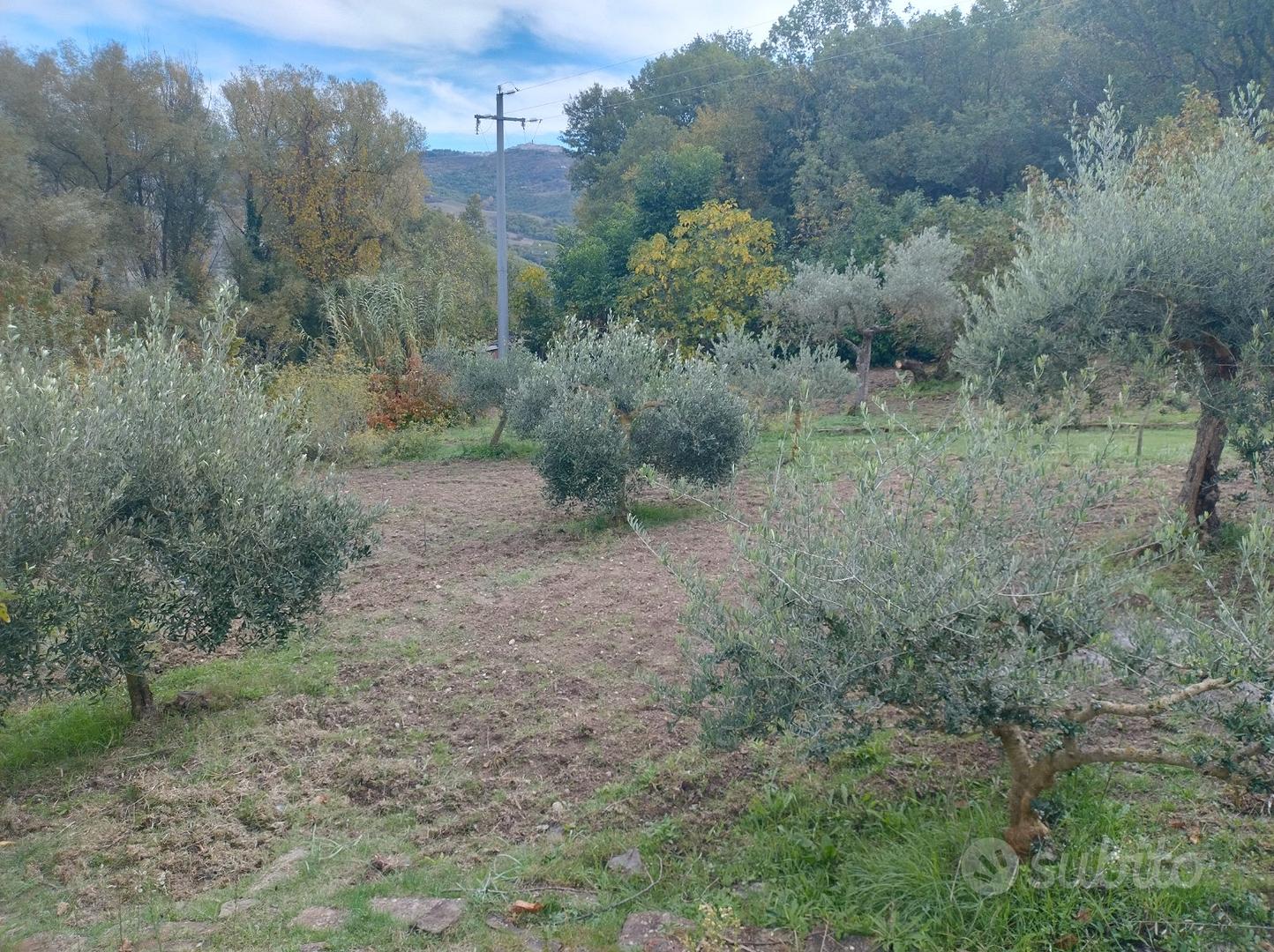 Terreno di 2600mq con casetta di legno di 32mq - Altro