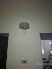 coppia di applique emporium