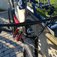 Bicicletta uomo
