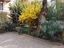 Immagine 26
