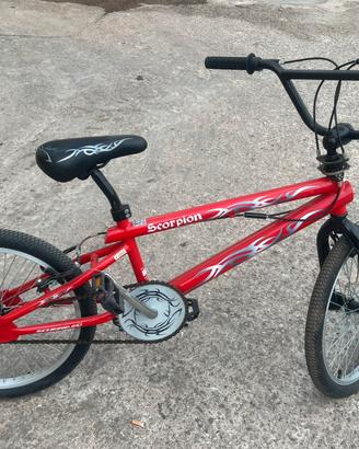 Bicicletta