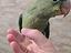 Immagine 6
