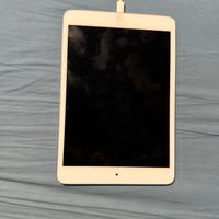 Apple Ipad