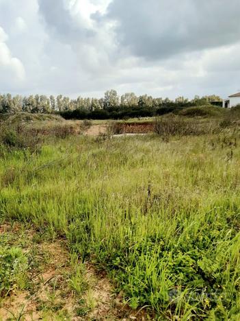 Terreno edificabile a tanca farrà