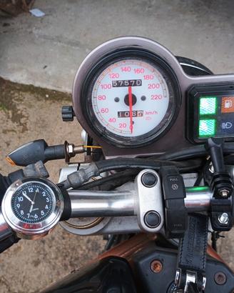 ducati monster