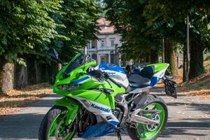 Kawasaki Ninja ZX-4RR 40th Anniversary  - 2024