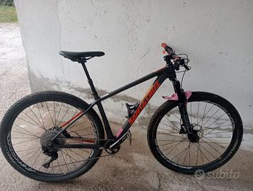 Santa Cruz higball 29