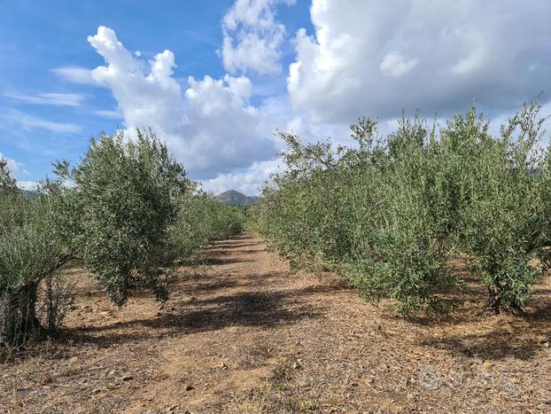 Azienda agricola San Priamo