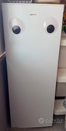Nuovo congelatore verticale Zerowatt 160lt