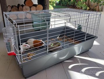 Gabbia per porcellini d'india o conigli