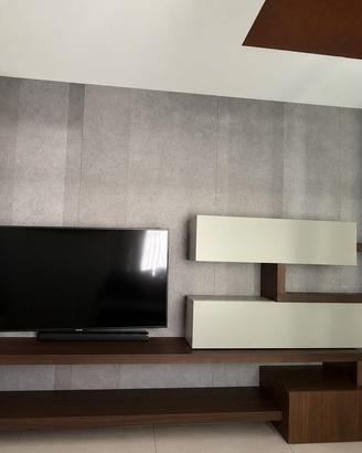 Mobile TV