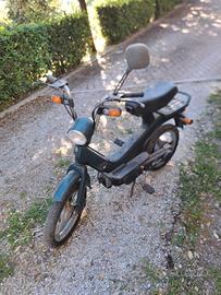piaggio grillo