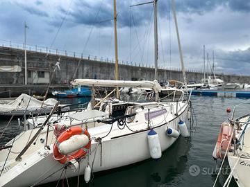 Barca a Vela Isola 21