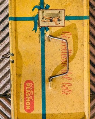 Scatola Biscotti Plasmon 