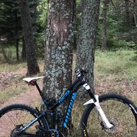 Mtb Niner