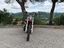 Immagine 11