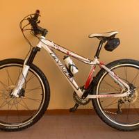 Mtb bicicletta olympia