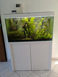 Acquario 210 litri Askoll Ciano Emotion One 100