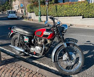 Triumph Daytona 500cc
