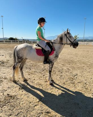 Pony castrone