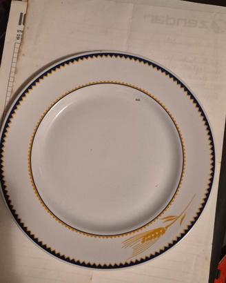 piatti porcellana n 12