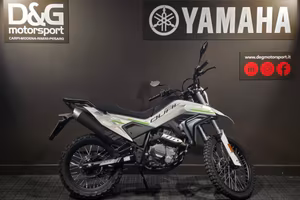 CFMOTO 300CL-X Heritage